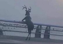 449433483-10229085055622667-1188798178959242358-n-2.jpg 449433483-10229085055622667-1188798178959242358-n-2.jpg