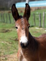 1775590794759.jpeg 1775590794759.jpeg