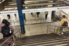 1775910056338.png 1775910056338.png