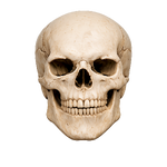 ChatGPT Image Apr 16, 2026, 08_08_11 PM.png