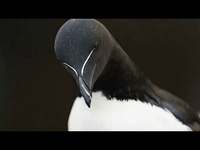 1778150090236.png