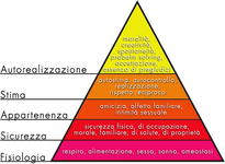 1778853694431.png