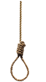 IMG_7624.png