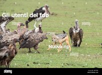 1000013988.jpg