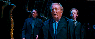 8333639.gif