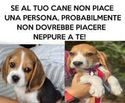 1779921548418.png