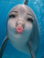 1780230142890.png