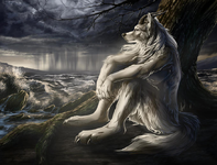 IMG_7782.png