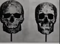1780564406515.png