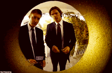 1780567376262.gif