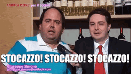 giuseppe-simone-stocazzo.gif