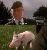 giphy (2).gif