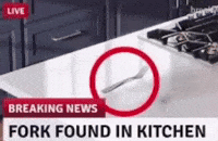 1000036781.gif 1000036781.gif
