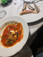 IMG_6341.jpeg