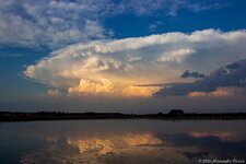 IMG_7341.jpeg
