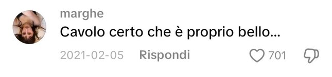 1000022878.jpg