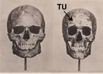 5e9bced1-47db-47f1-80e9-ae17b65210ff.png