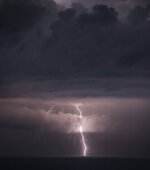 IMG_1516.jpeg