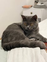 IMG_1685.jpeg