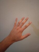 20260715_201012.JPG