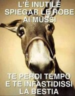 images (5).jpeg