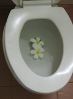 1000000460.jpg 1000000460.jpg