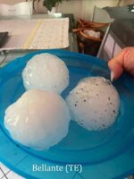 IMG_4550.jpeg IMG_4550.jpeg