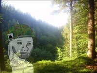 27470.jpg