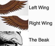 1785537358008.jpeg 1785537358008.jpeg