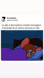 28DA2589-150F-4AB8-8344-3A40D37071EE.jpeg