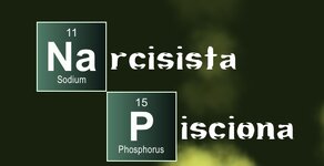 11A6805C-86C6-460E-9E52-639D7C329563.jpeg