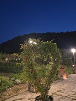 75435.jpg