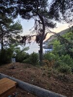 IMG_6633.jpeg IMG_6633.jpeg