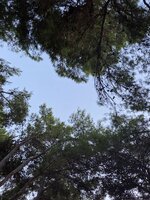IMG_6630.jpeg IMG_6630.jpeg