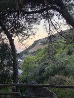 IMG_6628.jpeg IMG_6628.jpeg