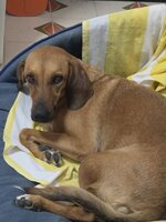 IMG_6734.jpeg