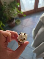 20260903_164117.jpg