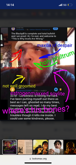IMG_8462.png