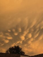 IMG_6925.jpeg