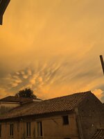 IMG_6928.jpeg