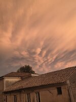 IMG_6924.jpeg