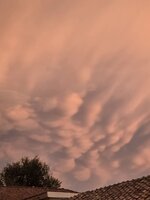 IMG_6922.jpeg
