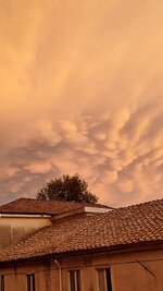 IMG_6919.jpeg