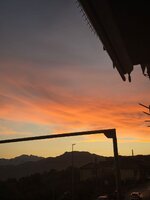 IMG_6917.jpeg