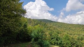 IMG20260919124247.jpg