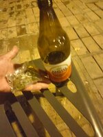 IMG20261002224936.jpg