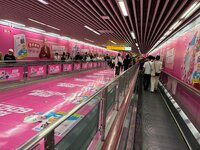 IMG_2407.jpeg