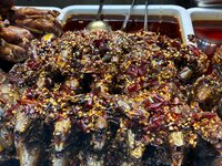 IMG_2434.jpeg