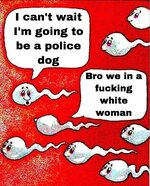 1000105035.jpg