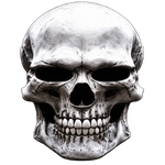 1000061200.png